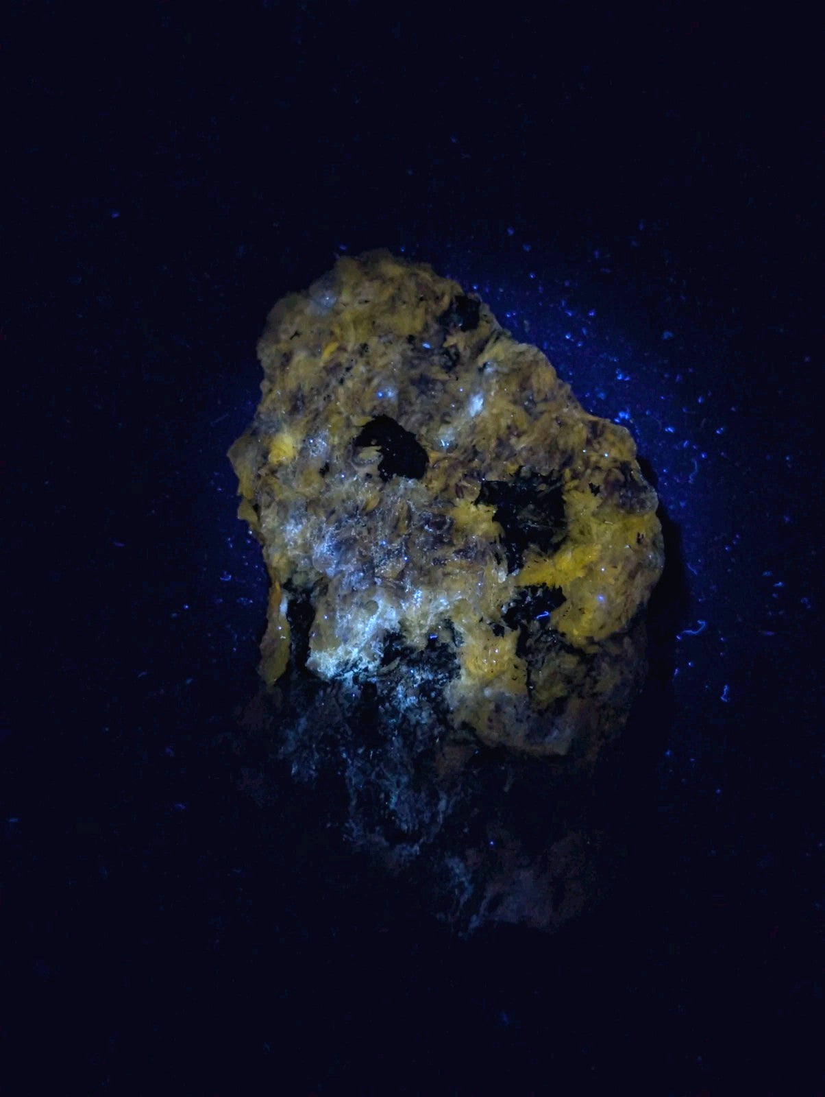 A rugged, irregularly shaped rock with a textured surface displaying patches of vibrant yellow and glowing blue under ultraviolet light.
