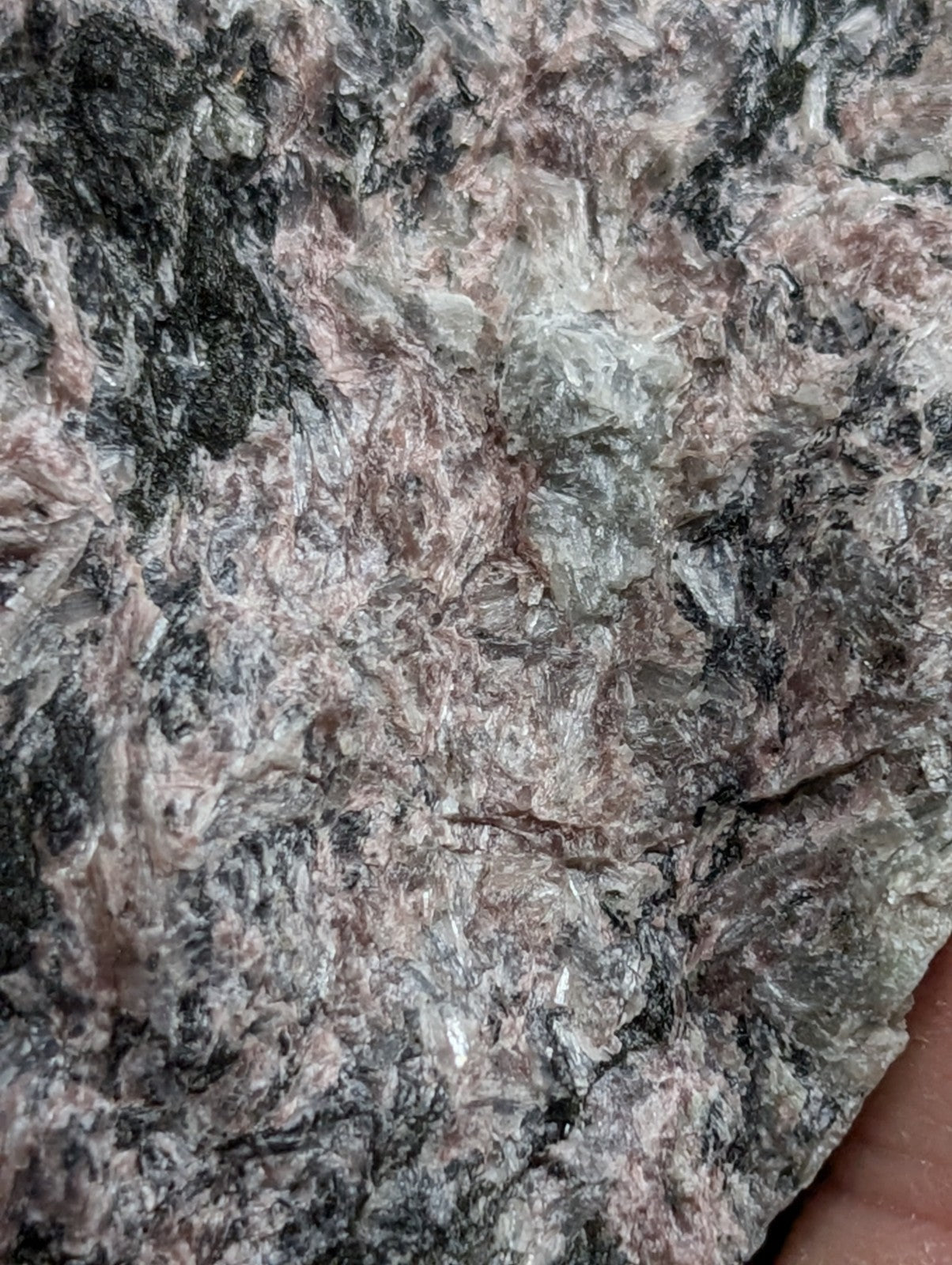 A rugged, multicolored granite rock with a mottled pattern of black, pink, and gray hues.