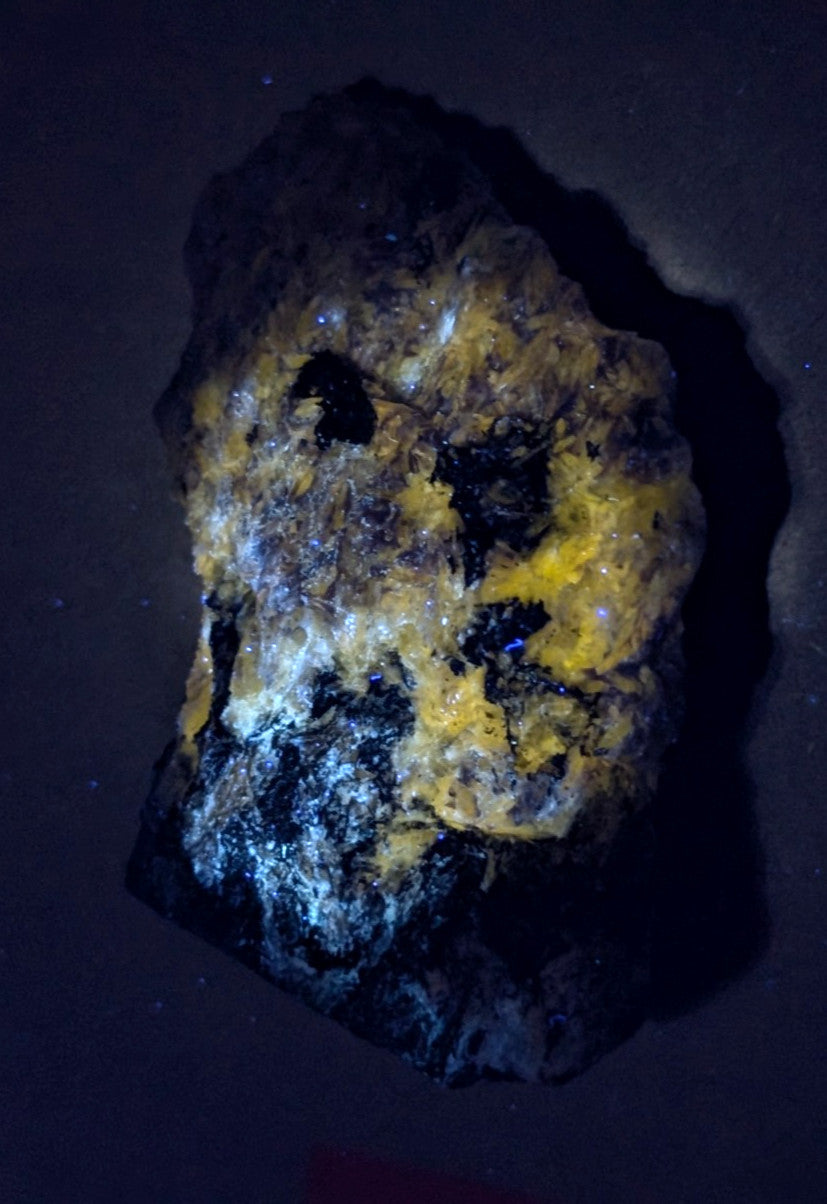 A rugged, irregularly shaped mineral specimen with vibrant yellow crystalline formations glowing against a dark matrix of black and bluish-gray rock.