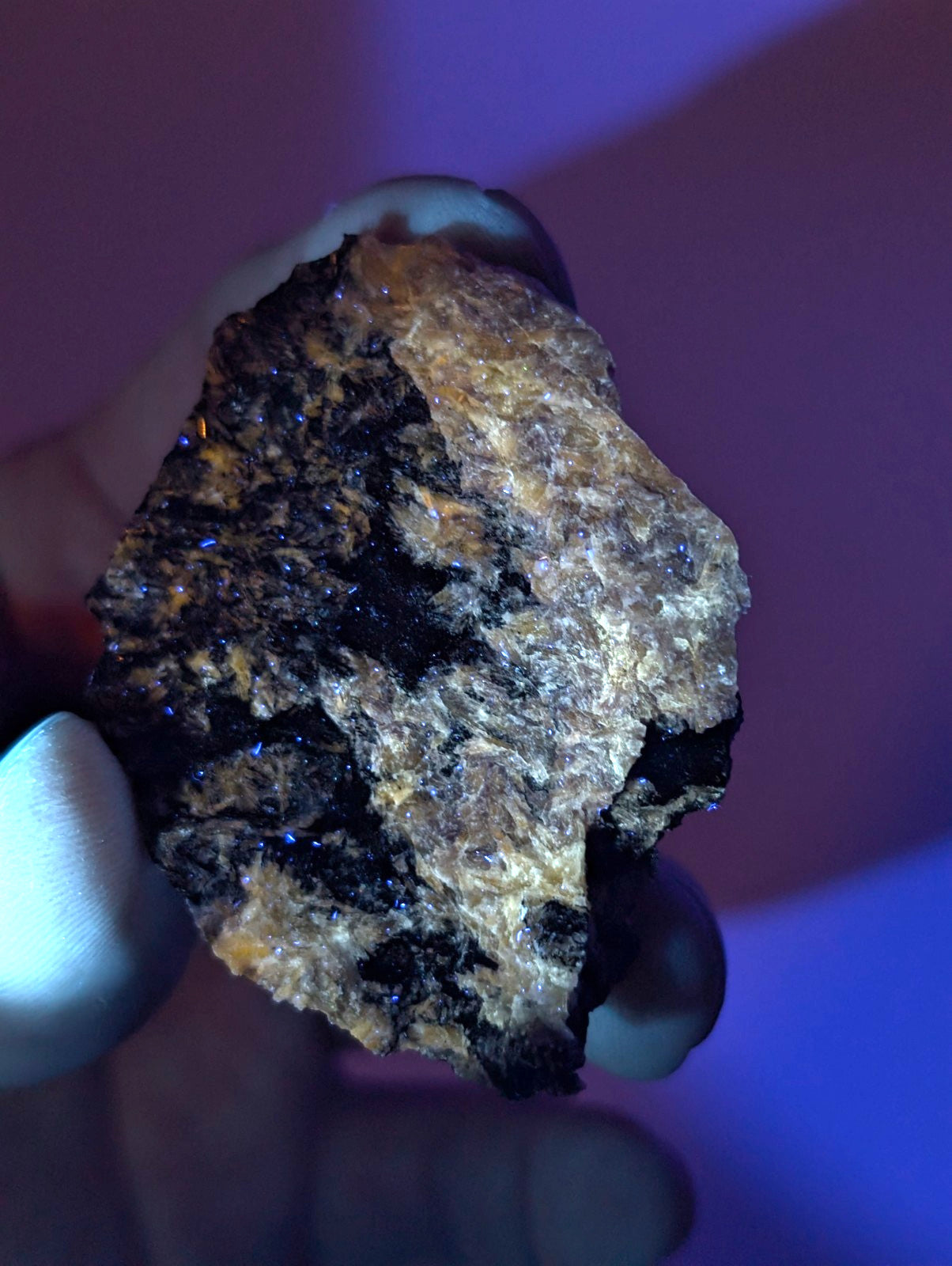 A rugged, irregularly shaped mineral specimen with a striking contrast of deep black and golden-yellow patches, speckled with tiny blue crystalline inclusions.