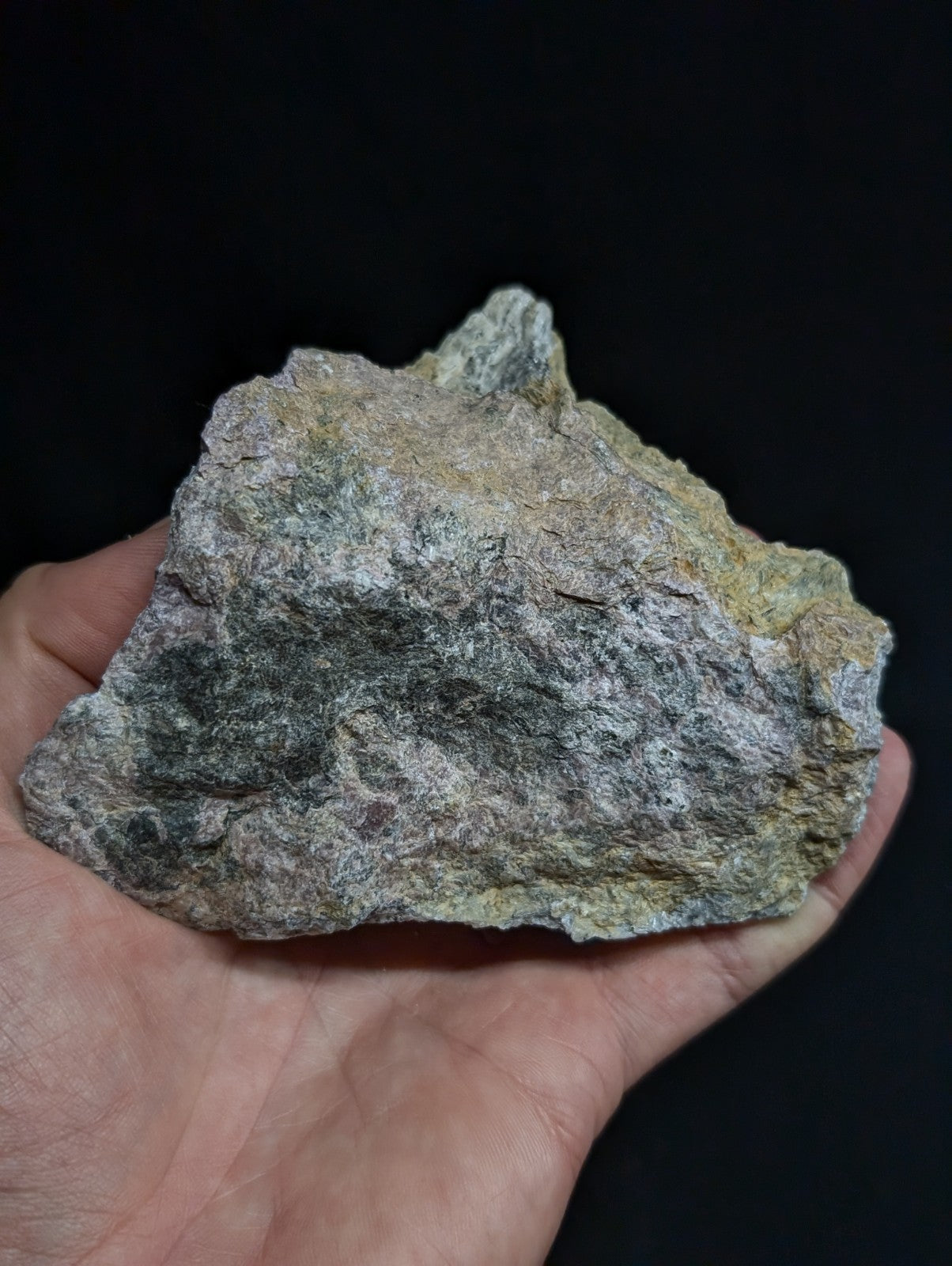 A rugged, irregularly shaped rock with a mottled gray and greenish-yellow surface held in someone’s hand.