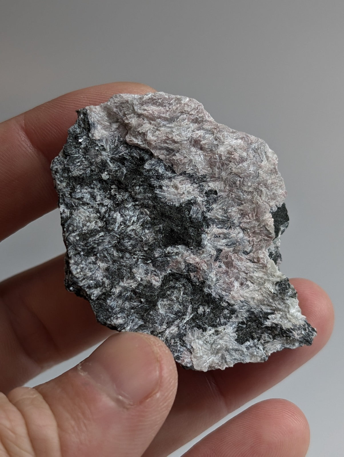 A hand holds a rough, irregularly shaped piece of gray and black speckled rock with a textured surface.