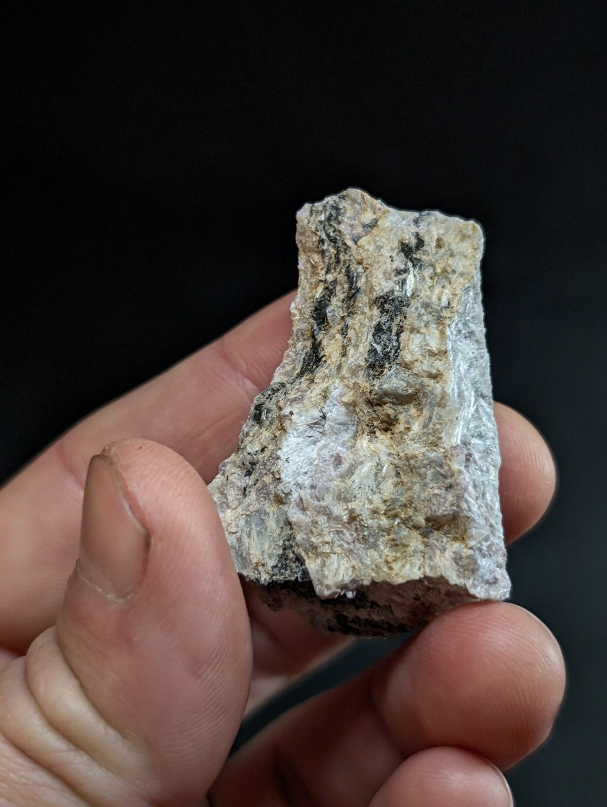 A rough, irregularly shaped rock fragment with a mottled surface of light gray and dark black veins.