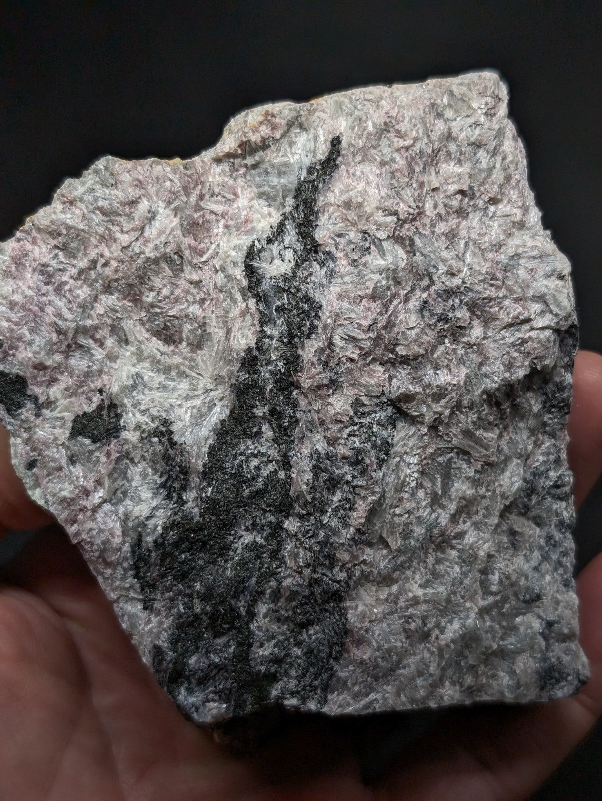 A rough, irregularly shaped rock with a mottled gray and black surface featuring prominent dark mineral veins.