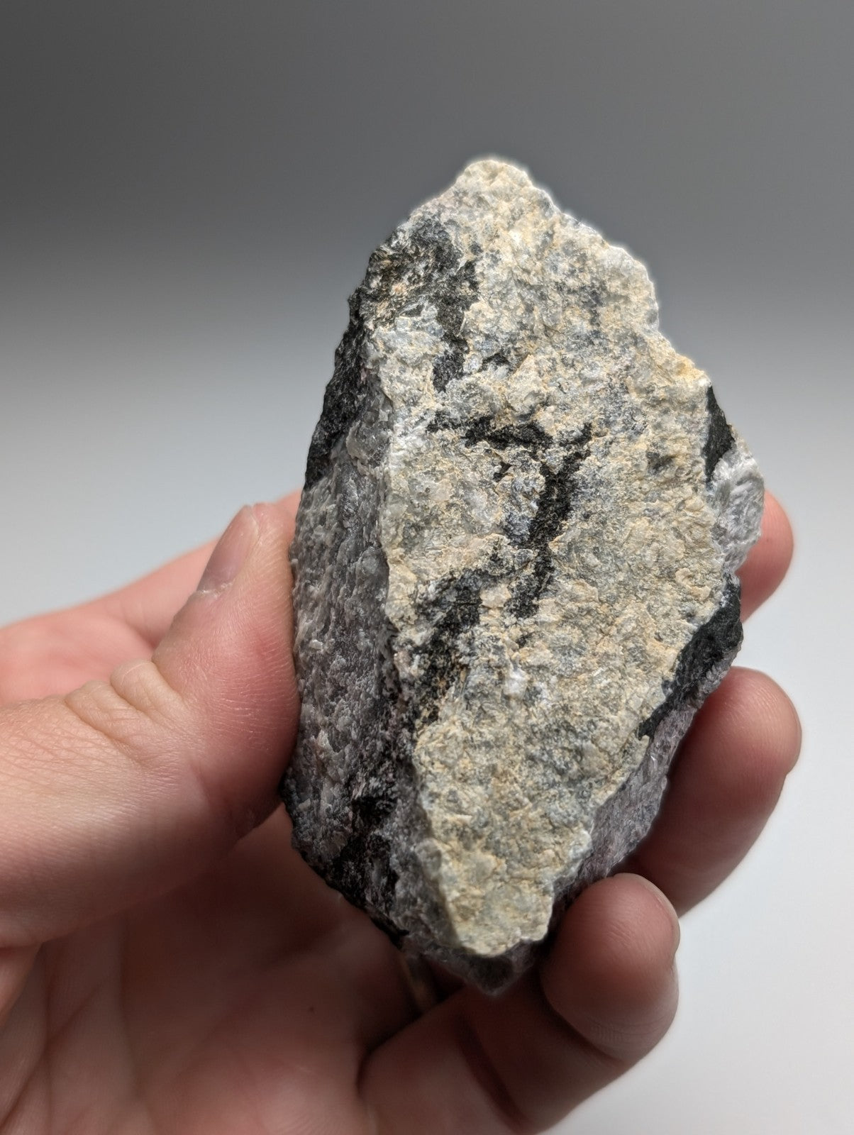 A rugged miserite and wollastonite rock with mottled gray and black surface from wilson springs arkansas usa
