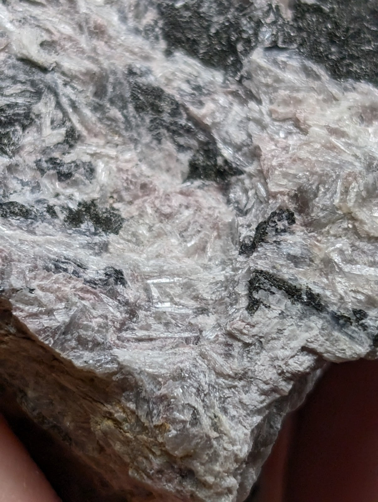 A rough, textured rock with a mottled pattern of white and dark gray mineral veins.