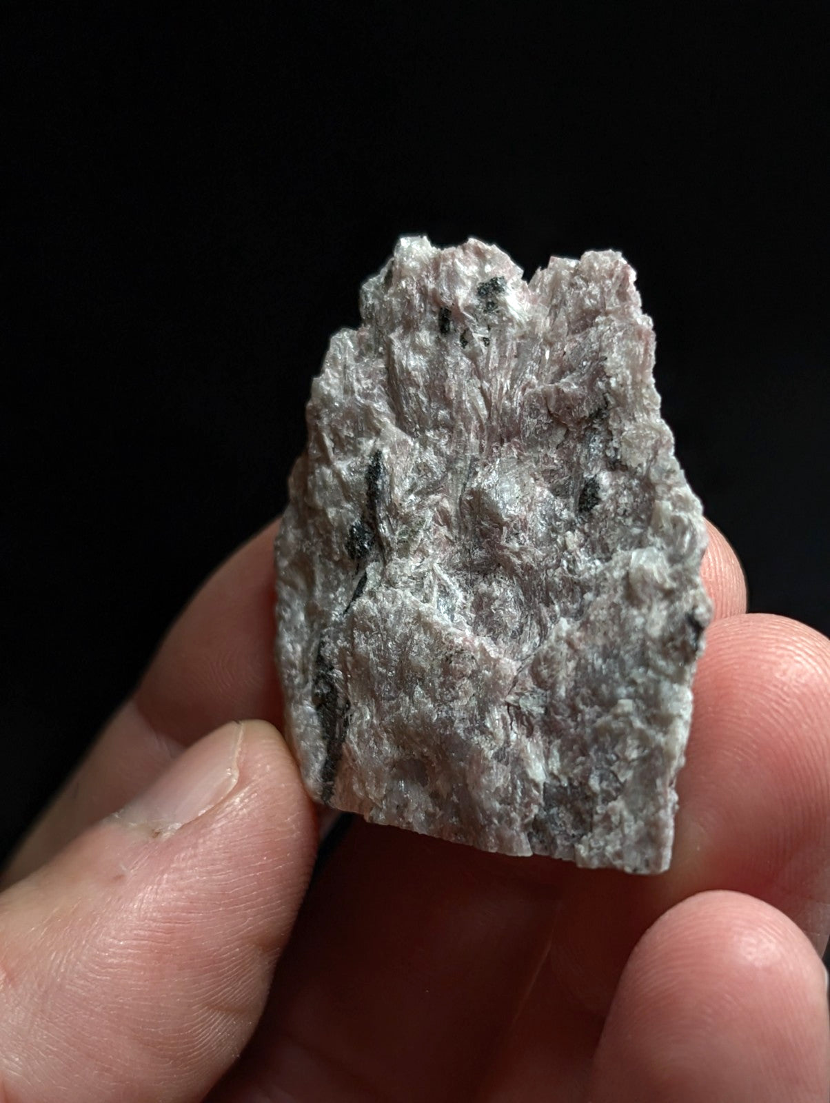 A rough, irregularly shaped gray rock with dark veining and a textured surface.