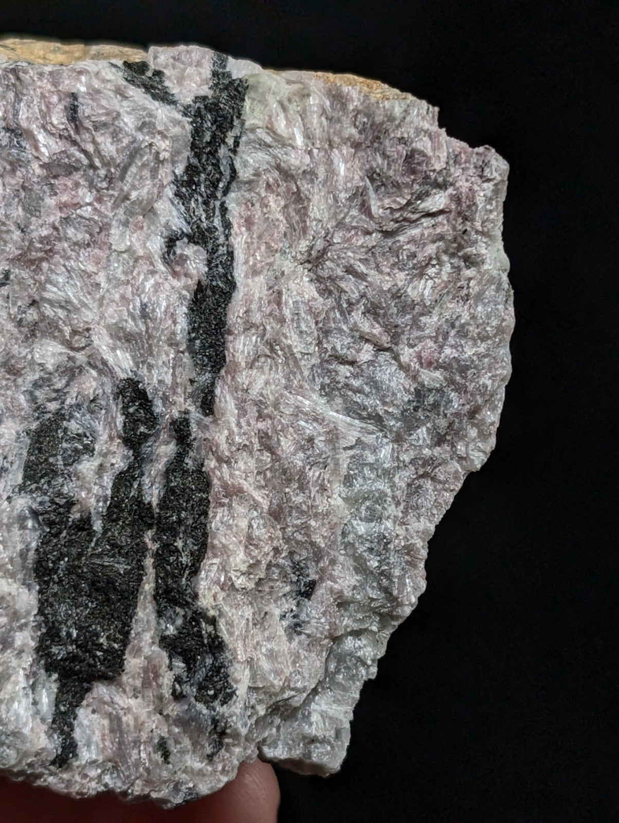 A rough, irregularly shaped rock with a textured surface featuring prominent black mineral veins running vertically through its predominantly gray and white matrix.
