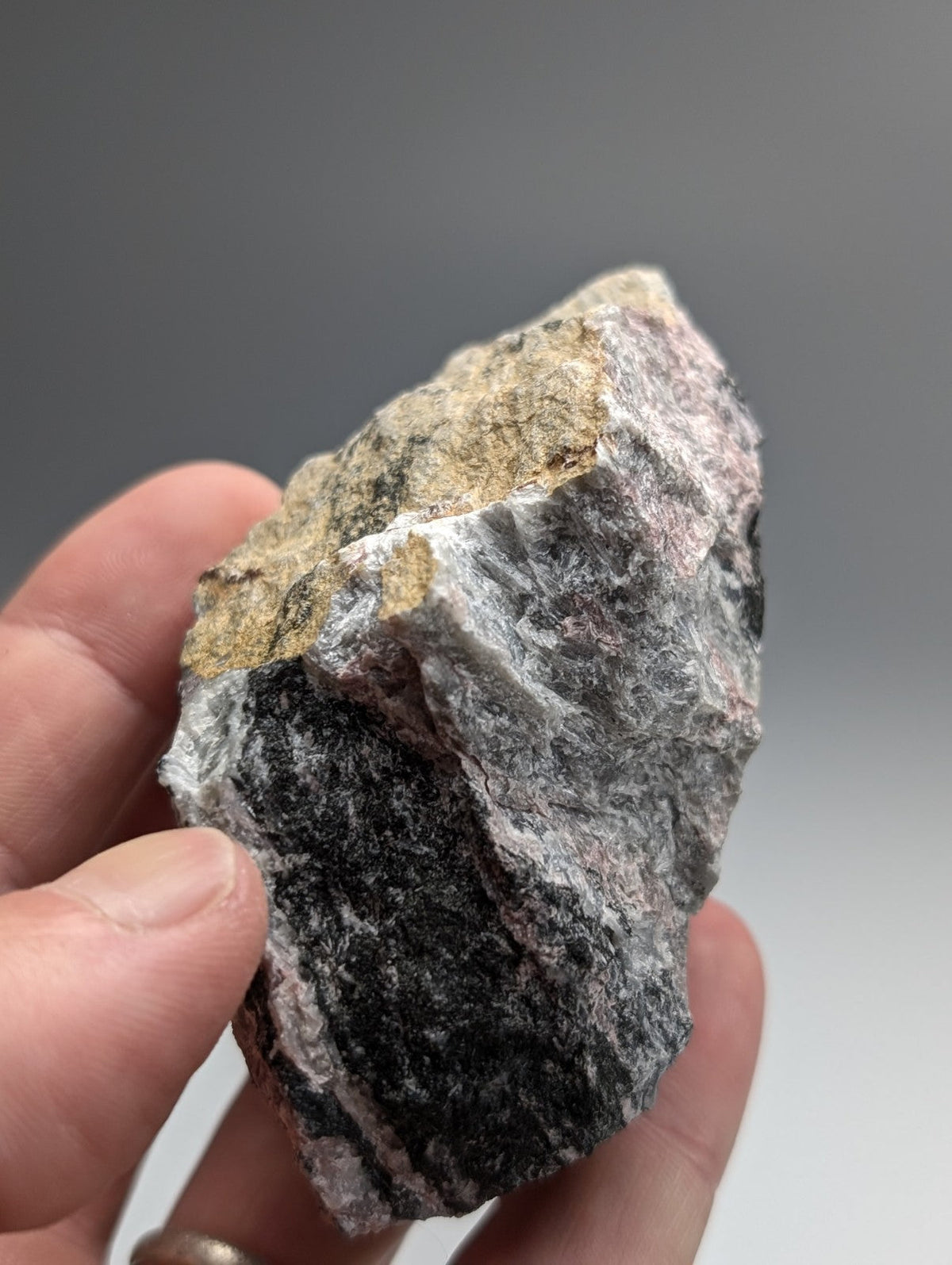 A hand holds a rough very rare miserite and wollastonite rock with gray black and pink hues from Arkansas USA