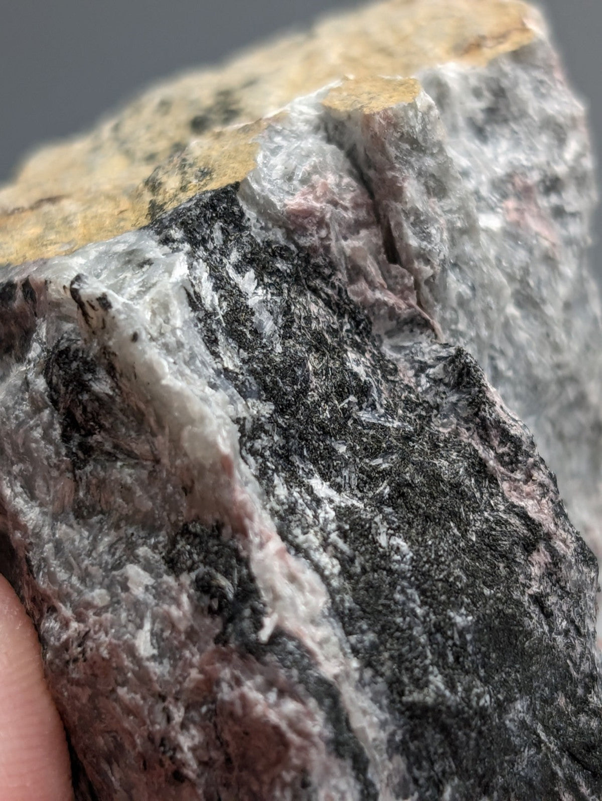 Very rare miserite and wollastonite rock with mottled black white and pink hues from Wilson Springs Arkansas USA