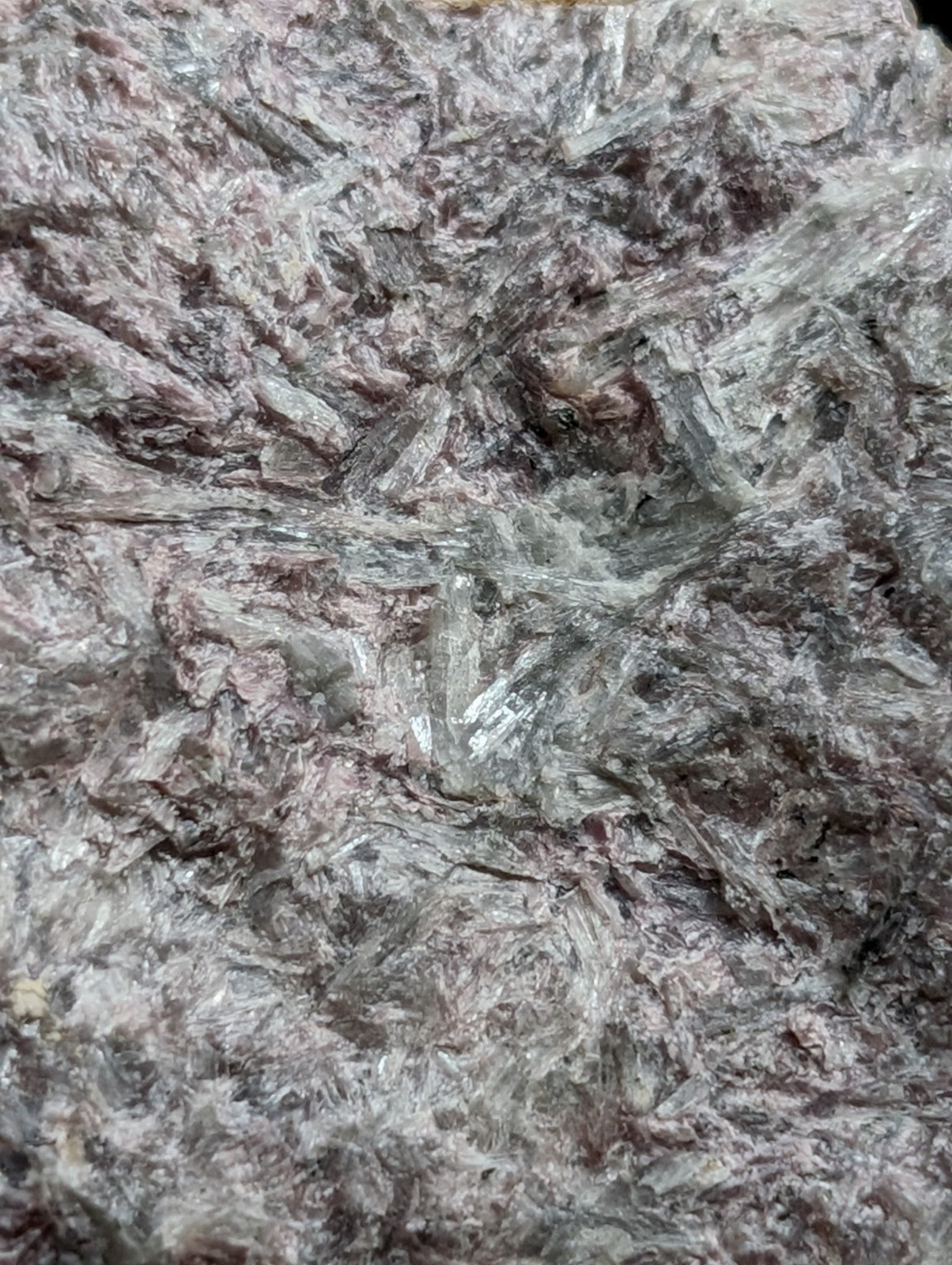 A cluster of translucent, needle-like crystals embedded in a dark, speckled matrix.