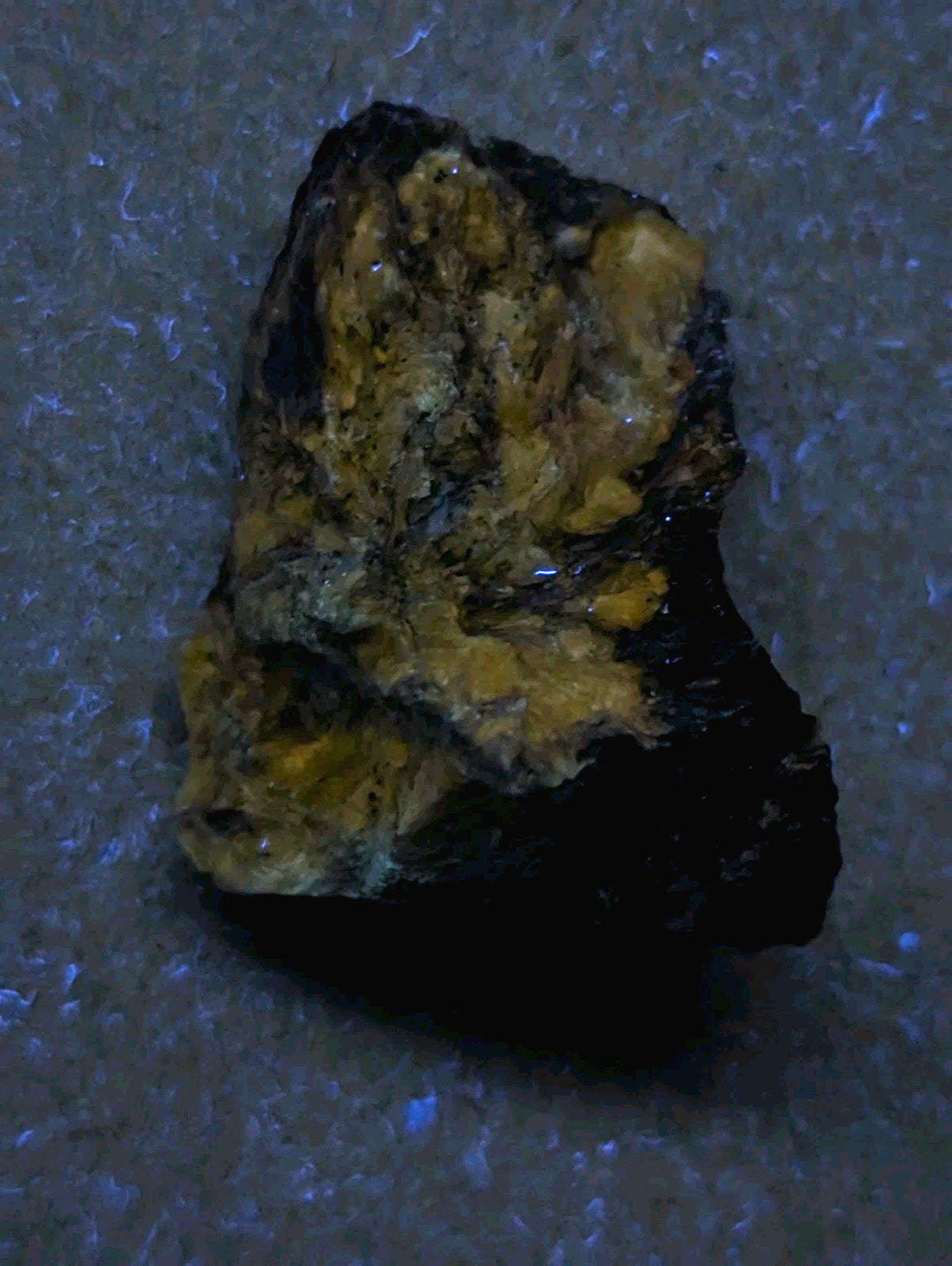 A rugged, irregularly shaped rock with a striking contrast of dark black and vibrant yellow-orange mineral patches.
