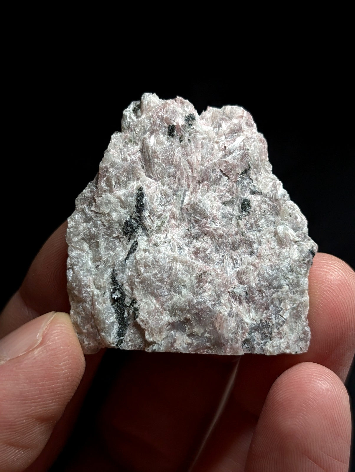 A rough, irregularly shaped piece of light gray rock with dark black streaks and speckles.
