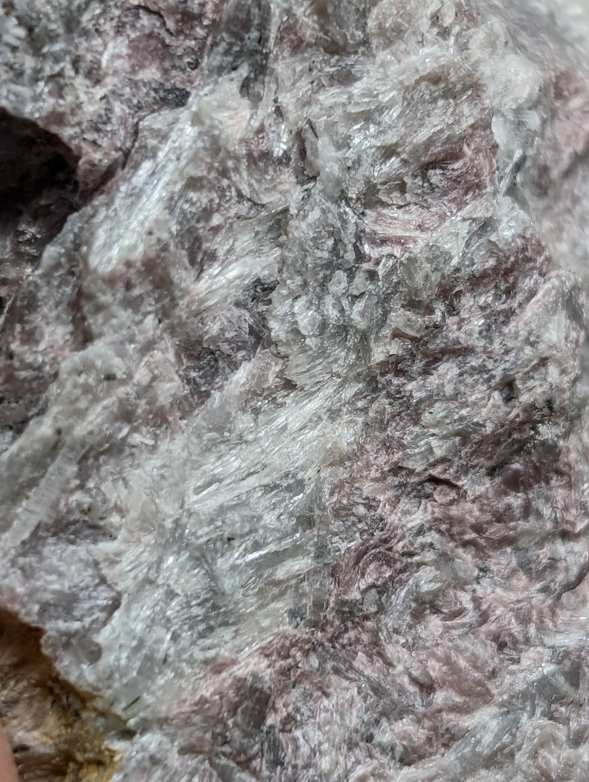 A textured, translucent rock with a mottled pattern of gray and pinkish hues.