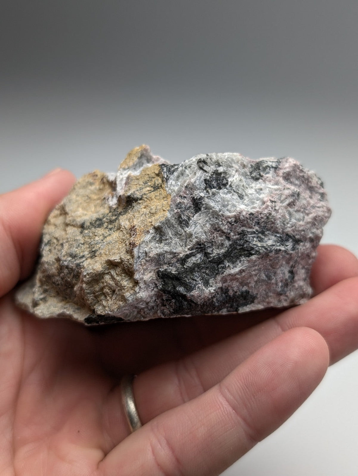 A hand holds a very rare miserite and wollastonite rock with gray black and tan mottled surface from arkansas usa