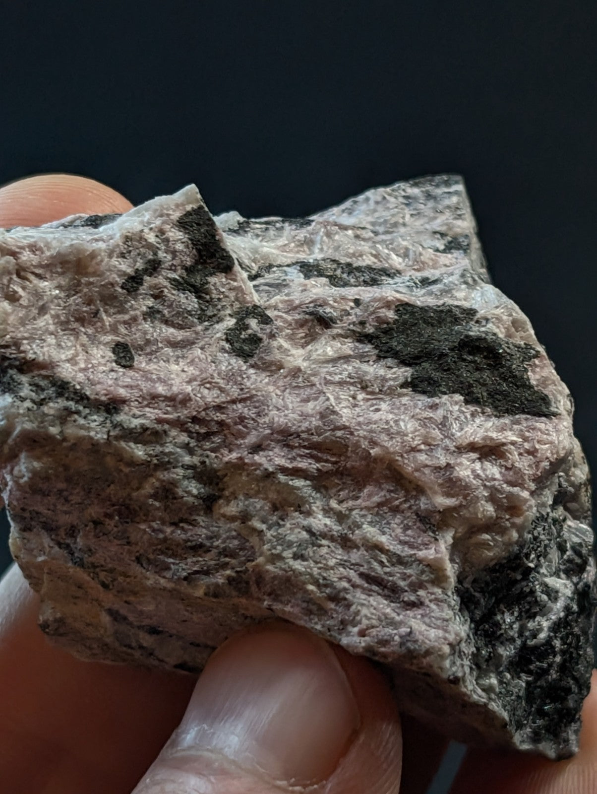 A rough, irregularly shaped pinkish-gray rock with dark black mineral veins and a textured surface.