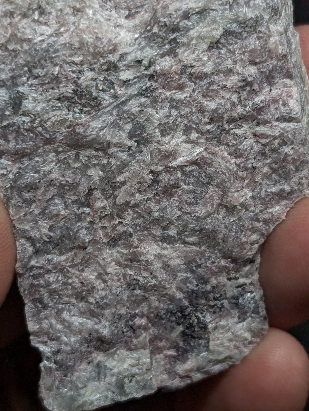 A rough, irregularly shaped gray rock with a mottled texture of lighter and darker shades.