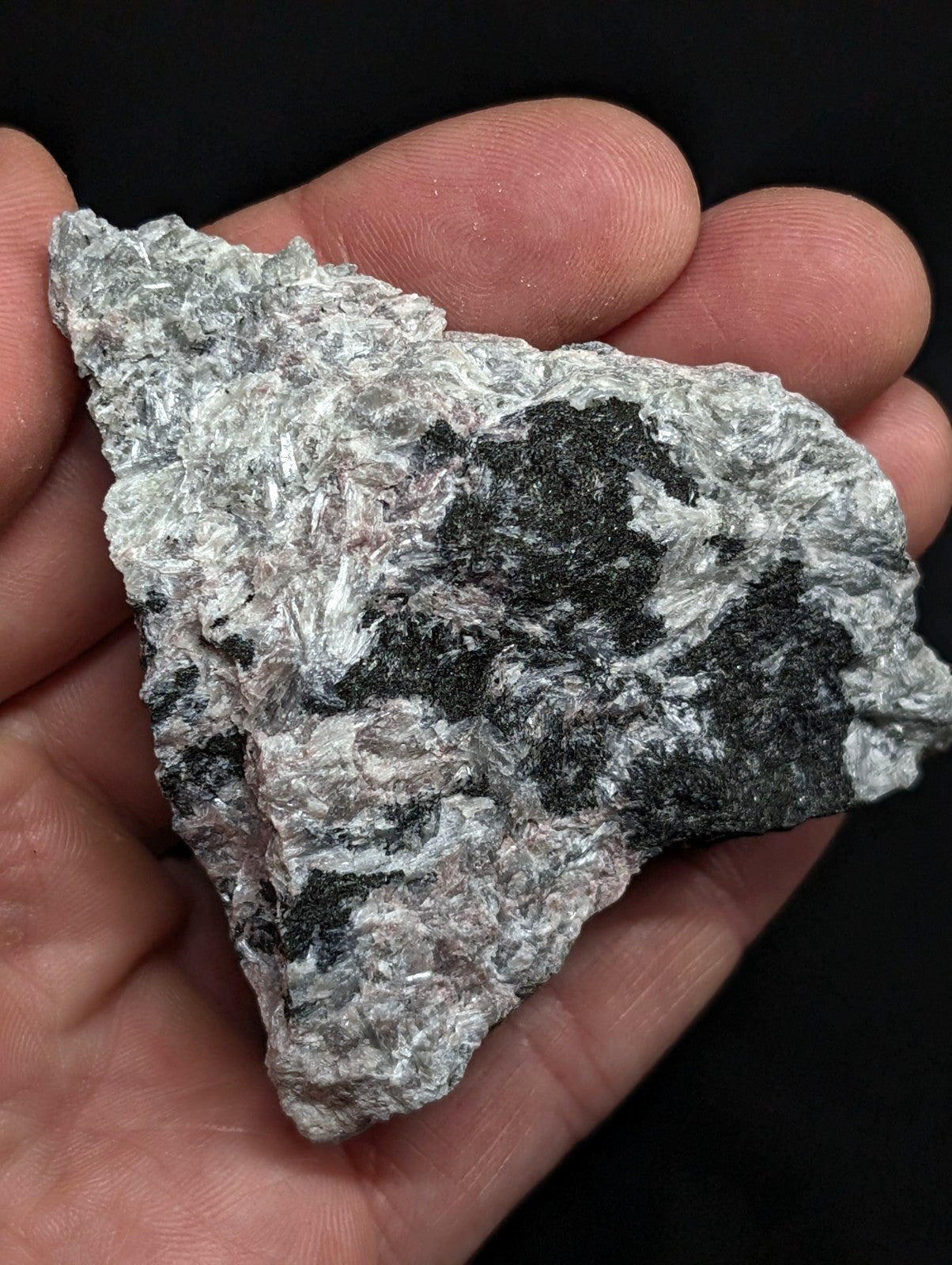 A rough, irregularly shaped rock with a mottled gray and black surface texture.