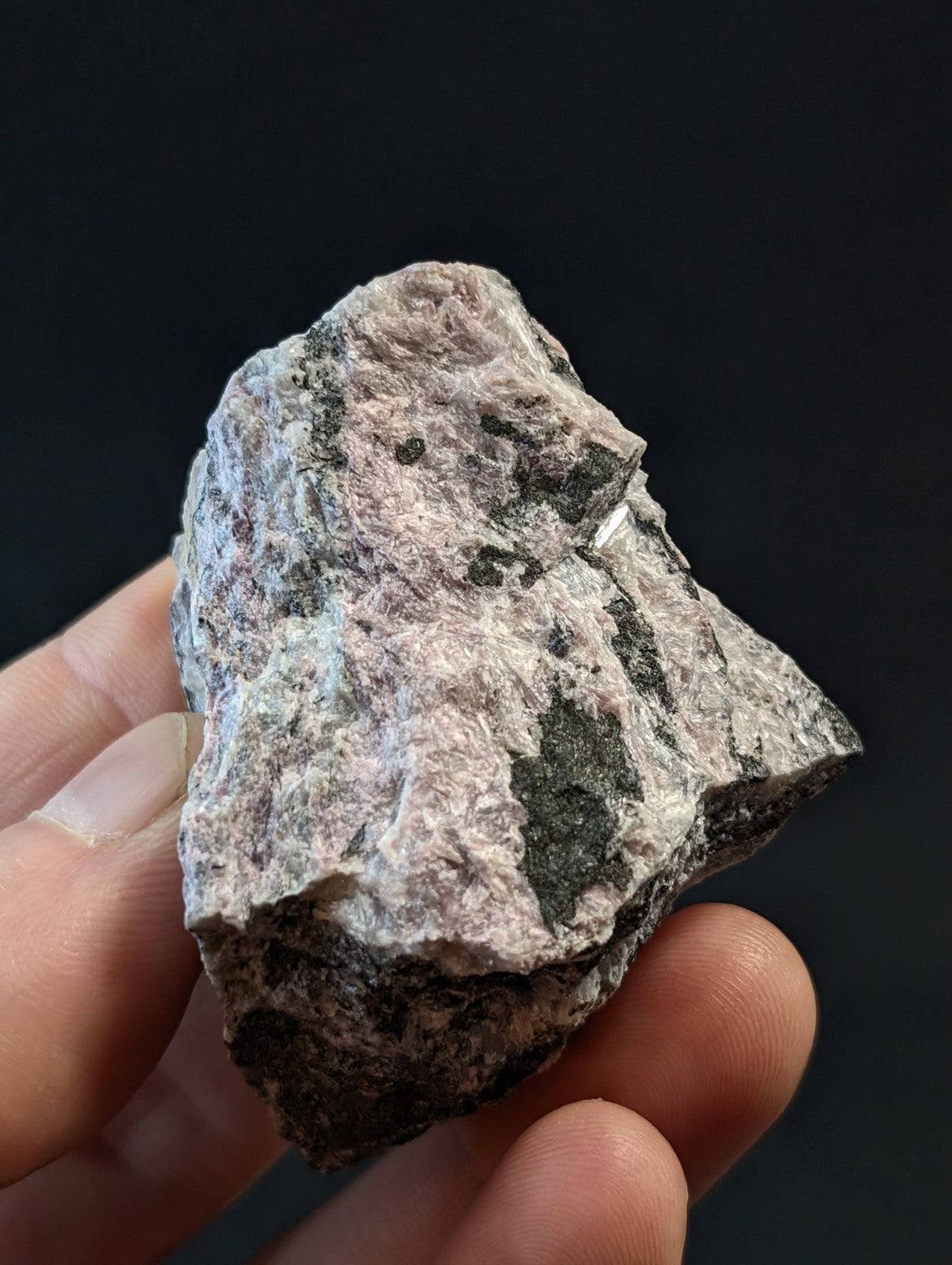 A rough, irregularly shaped rock with a mottled pink and gray surface speckled with dark green patches.