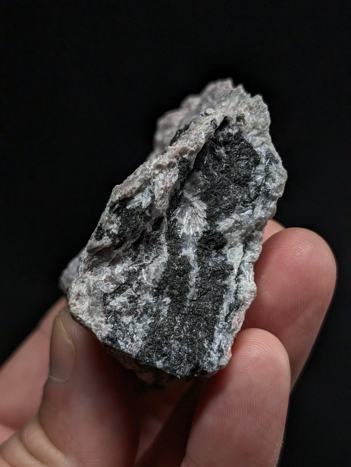A rugged, irregularly shaped rock with a mottled gray and black surface texture.