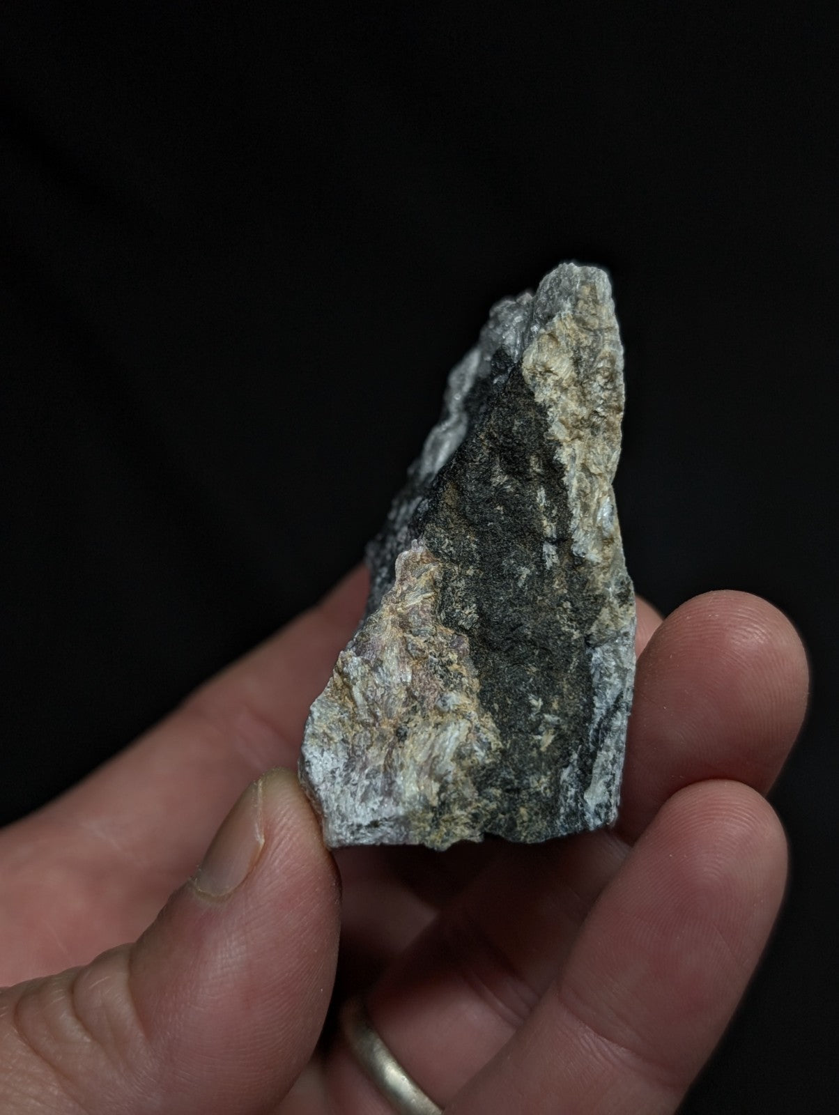 A rugged, irregularly shaped rock with a mottled gray and black surface held gently in someone’s hand.