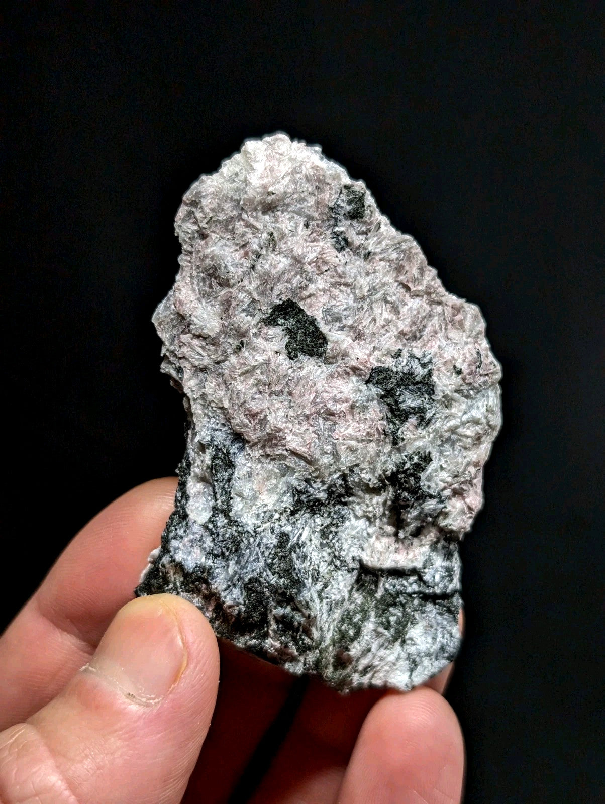 A rough, irregularly shaped rock with a mottled gray and black surface texture.