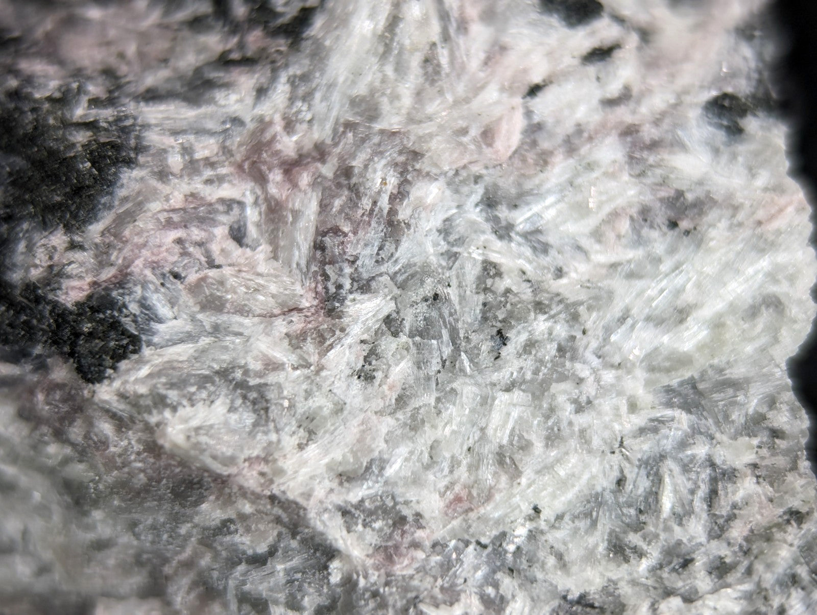 A textured, speckled rock surface with a mix of white, gray, and faint pinkish hues.