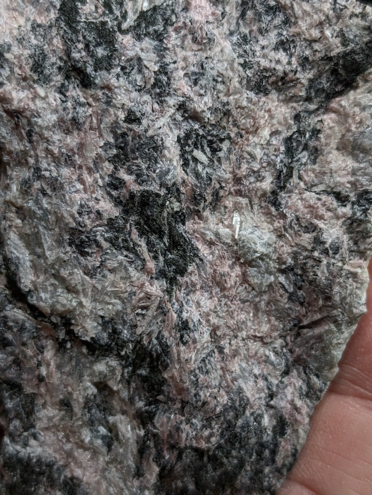 A rugged, speckled granite rock with a mottled pattern of black, gray, and pinkish hues.