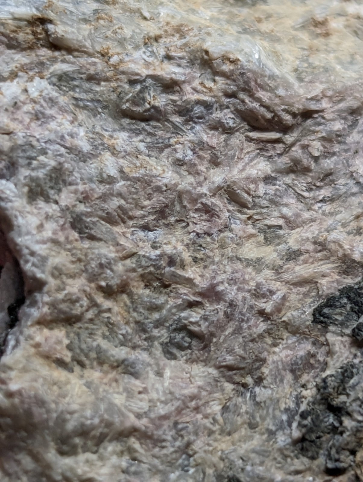 A textured, mottled rock surface with a mix of beige, gray, and subtle pinkish hues.