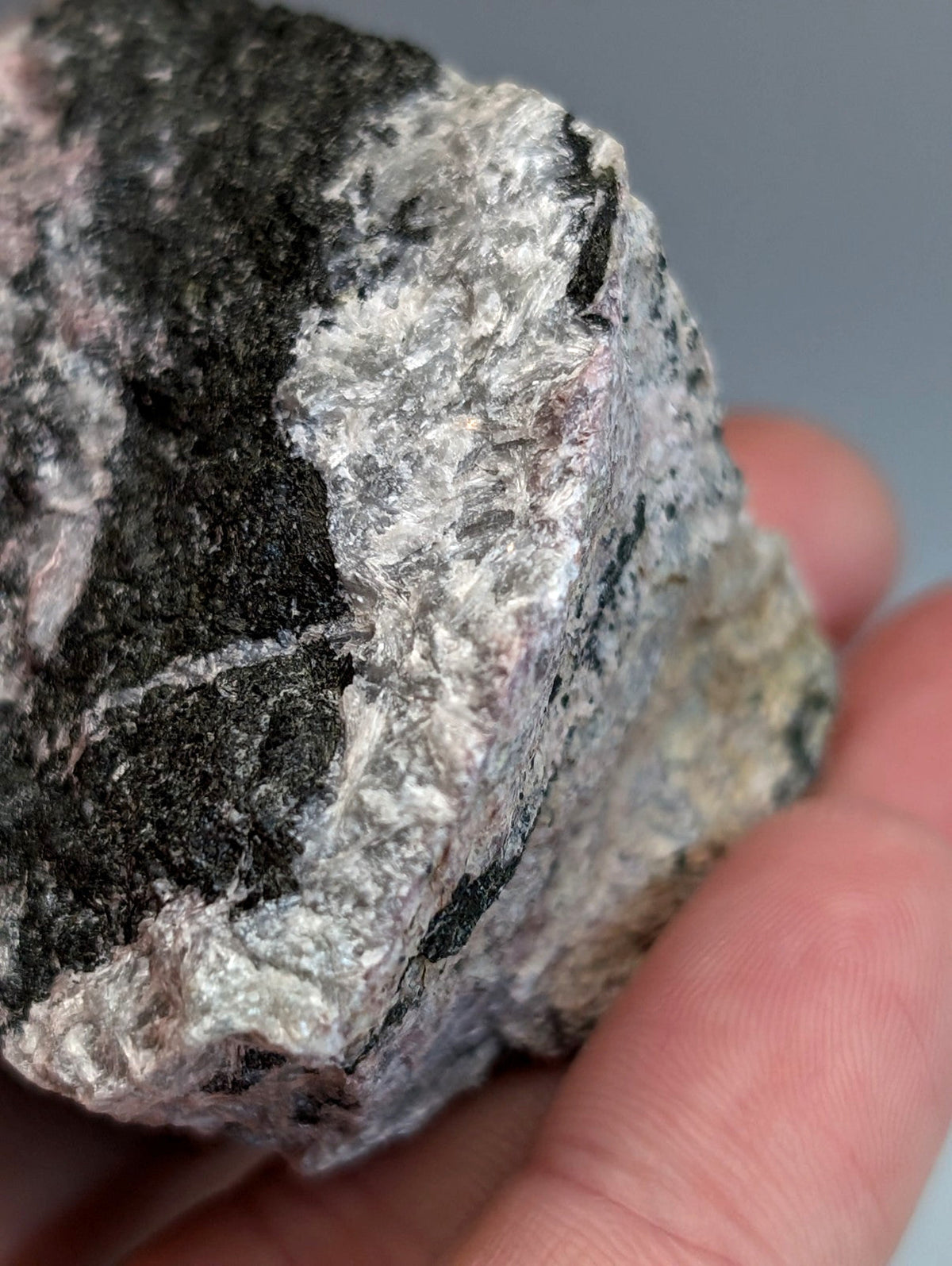 A hand holds a rough very rare miserite and wollastonite rock with gray black and faint pink hues from Arkansas USA