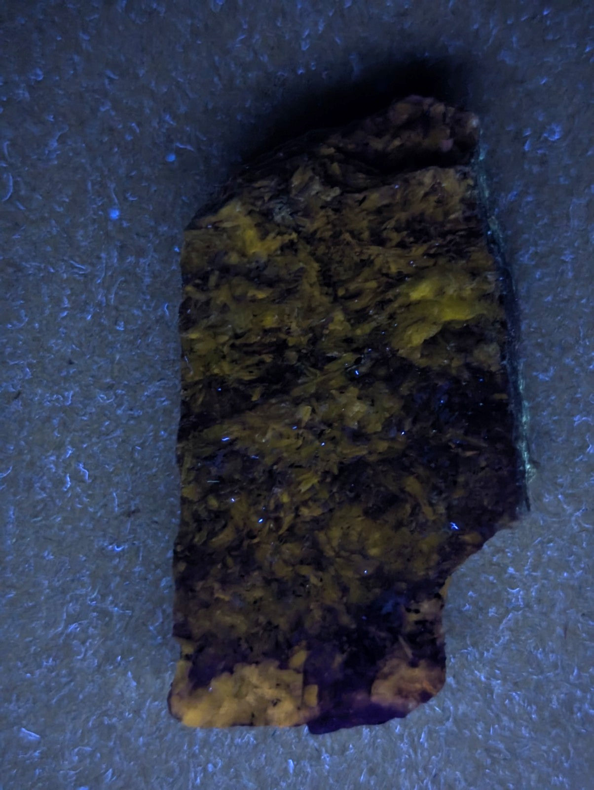 A rugged, irregularly shaped piece of amber with a rich golden-yellow hue and dark brown matrix.