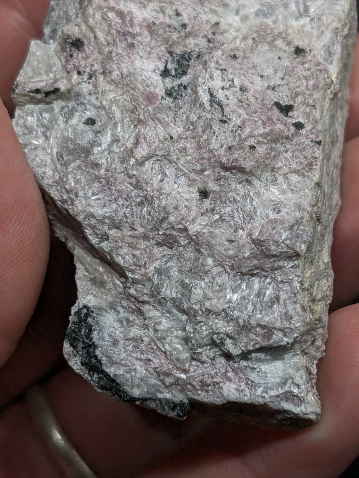 A rough, irregularly shaped rock with a mottled gray and pinkish surface featuring dark speckles.