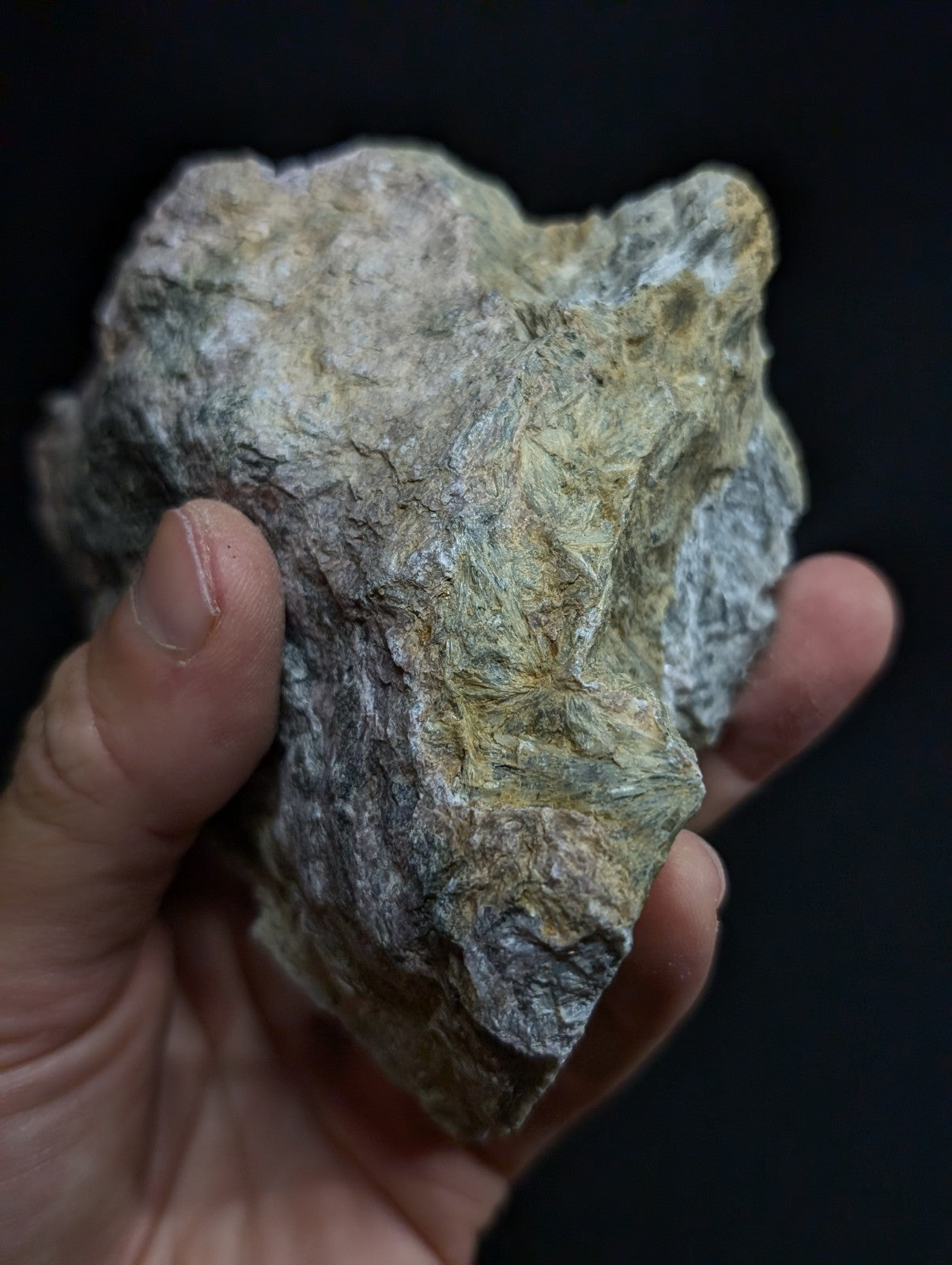 A rough, irregularly shaped stone with a mottled green and gray surface held in someone’s hand.
