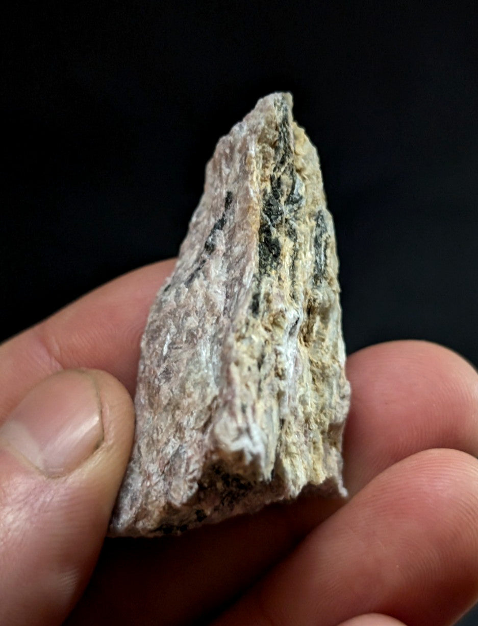 A rough, irregularly shaped rock with a mottled texture of beige and dark greenish-gray hues.