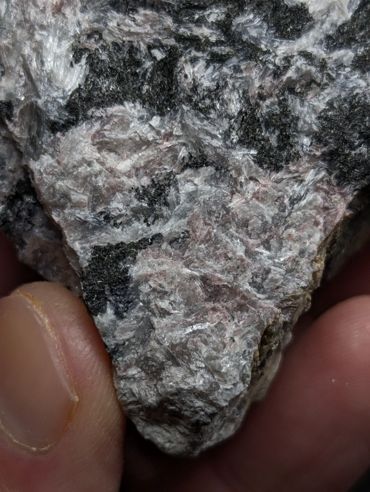A rough, irregularly shaped rock with a mottled surface of gray and black mineral veins.