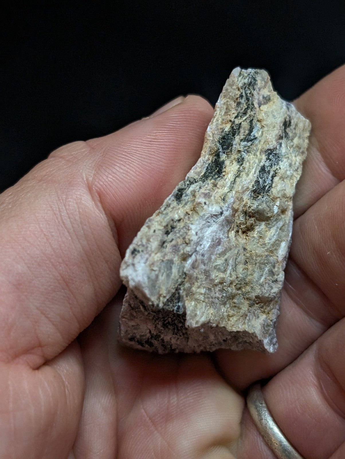A rough, irregularly shaped rock fragment with a mottled pattern of beige, gray, and dark green hues.