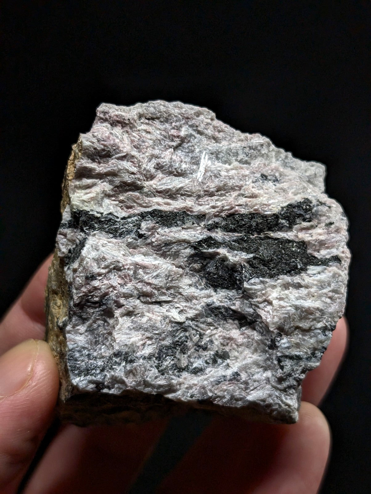 A rough, irregularly shaped rock with a predominantly gray surface streaked with dark black bands and subtle white veining.
