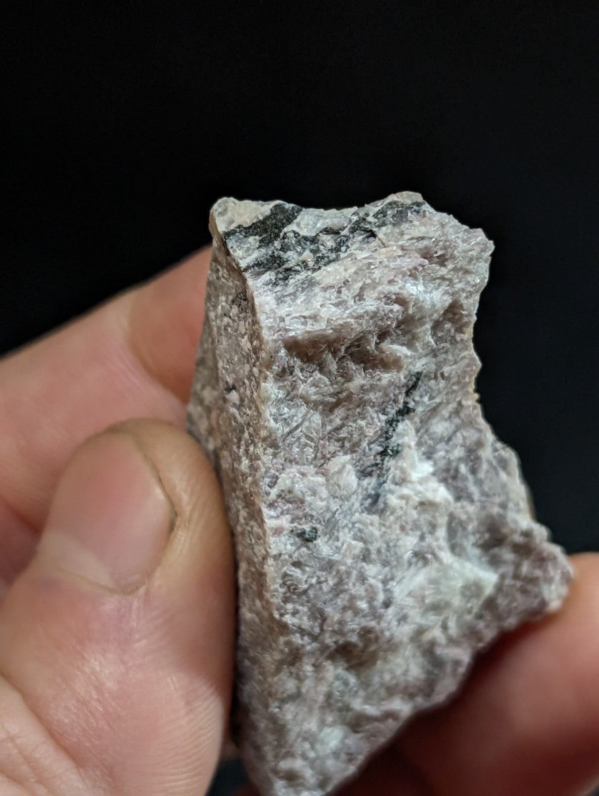 A rough, irregularly shaped rock with a mottled gray and white surface held in someone’s hand.