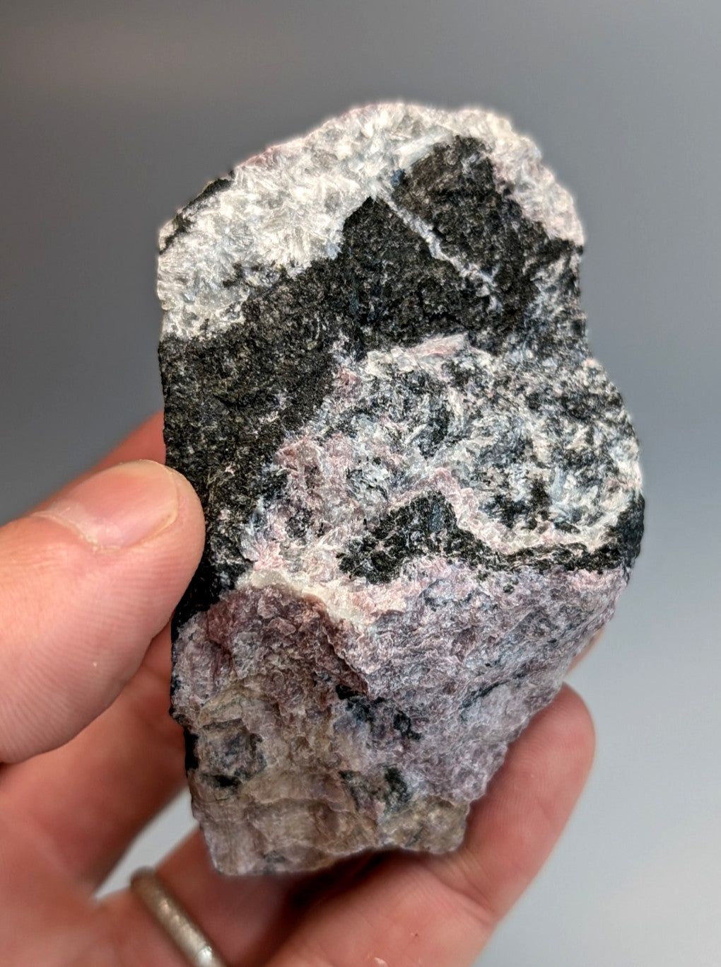 A rugged irregular miserite and wollastonite rock with mottled black white and pinkish hues from arkansas usa