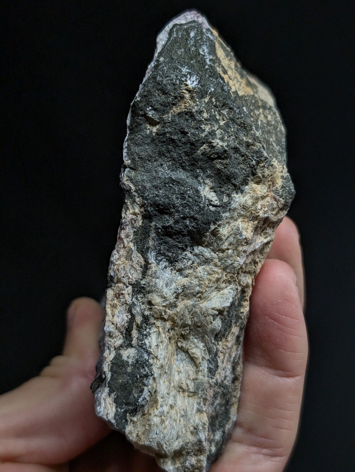 A rugged, irregularly shaped rock with a mottled surface of dark gray, black, and light beige patches.