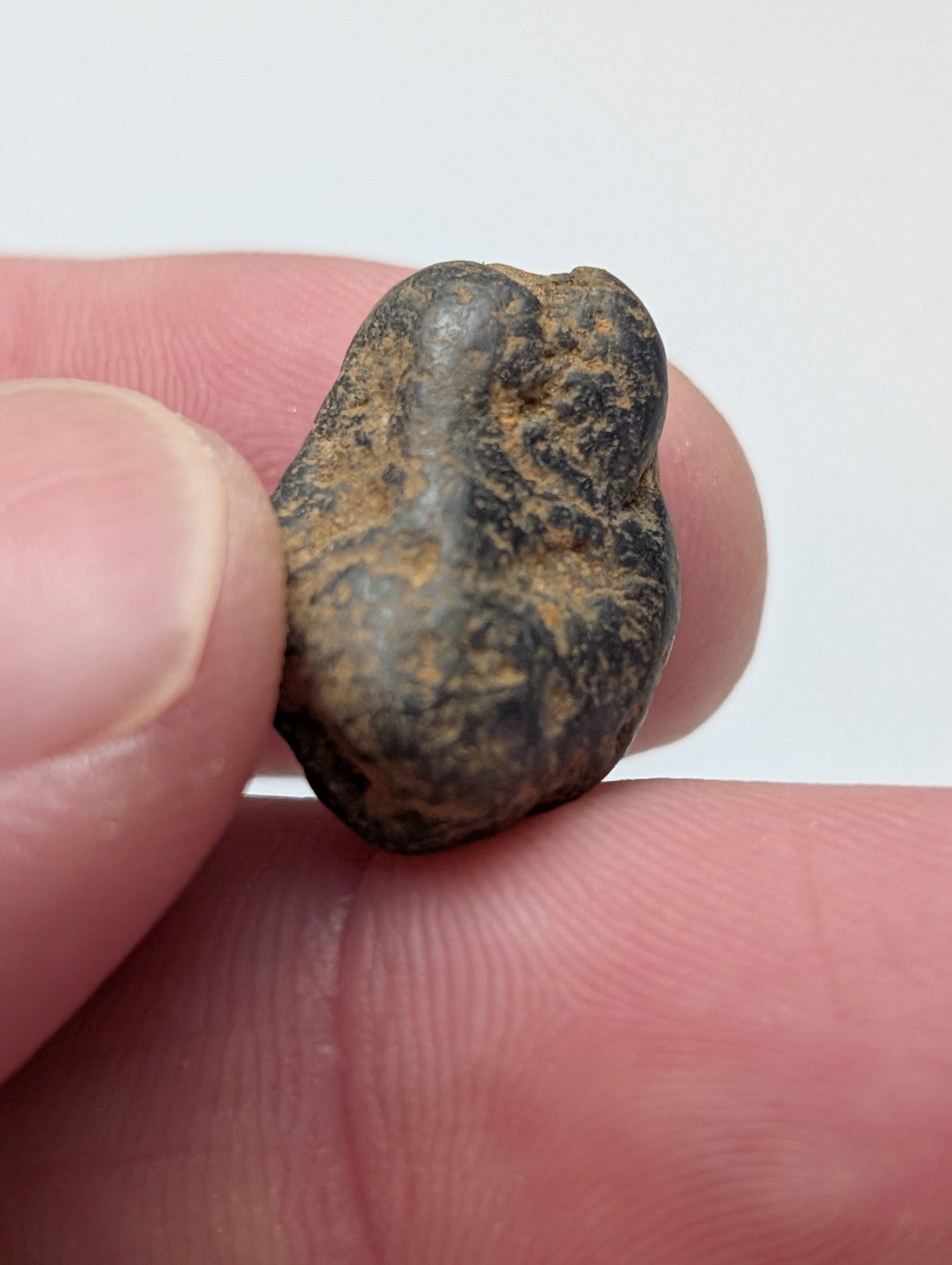 A dark irregular placer rutile meteorite with rough textured surface and brown oxidation from magnet cove arkansas