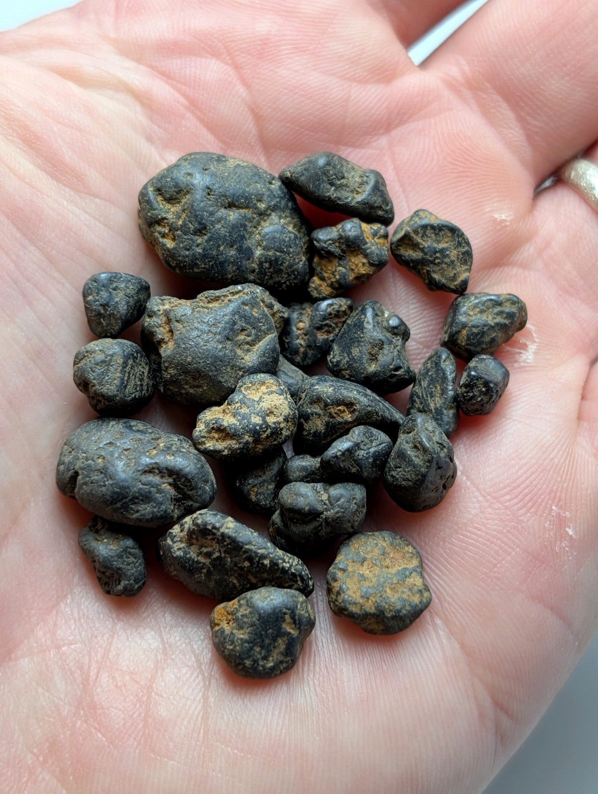 Very rare placer rutile stones from magnet cove arkansas with dark irregular shapes and orange yellow mineral streaks in palm