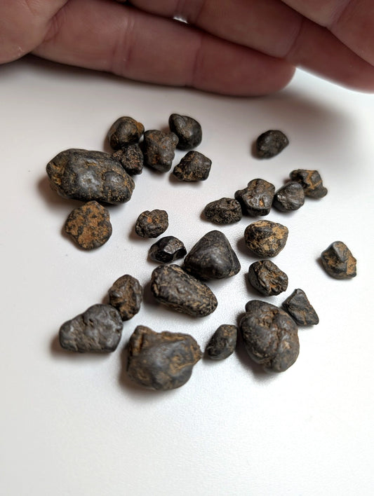 A set of 25 very rare dark irregular placer rutile meteorite fragments with rough textured surfaces from magnet cove arkansas