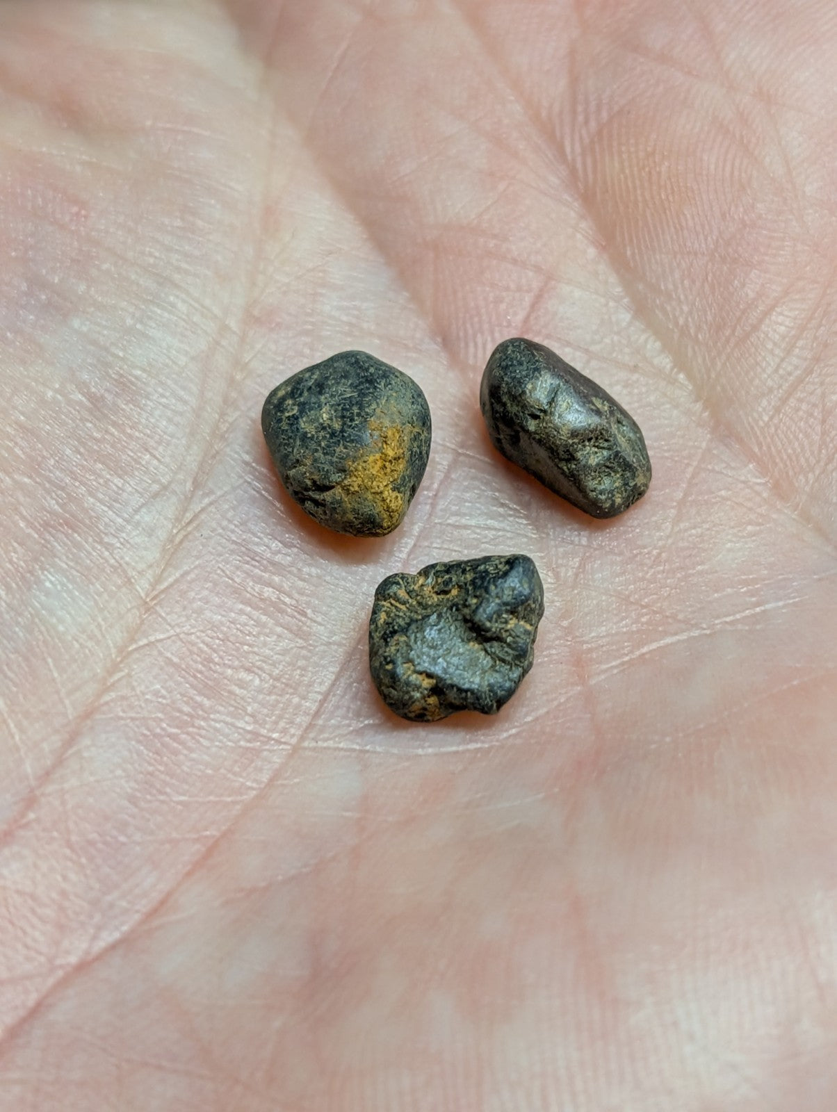 Three small, irregularly shaped stones with dark gray and black surfaces, one featuring a patch of yellowish discoloration.
