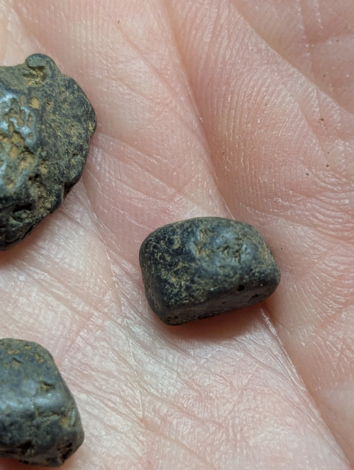 Dark, rough-textured stones with a mottled greenish-gray surface rest in the palm of a hand.