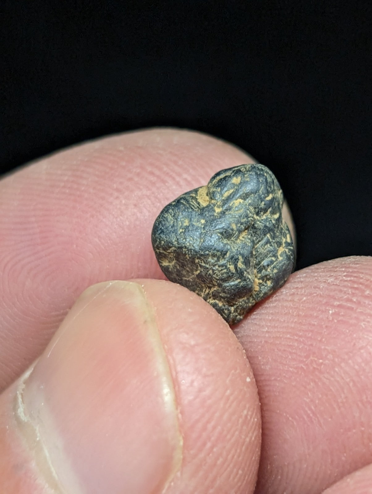 A dark, heart-shaped truffle with a rough, speckled surface and subtle yellowish patches.