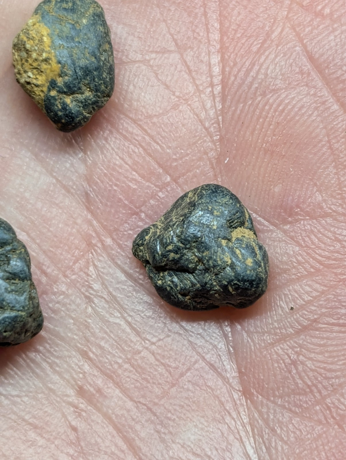 Dark green and yellowish rocks with rough, irregular surfaces resting on a human palm.