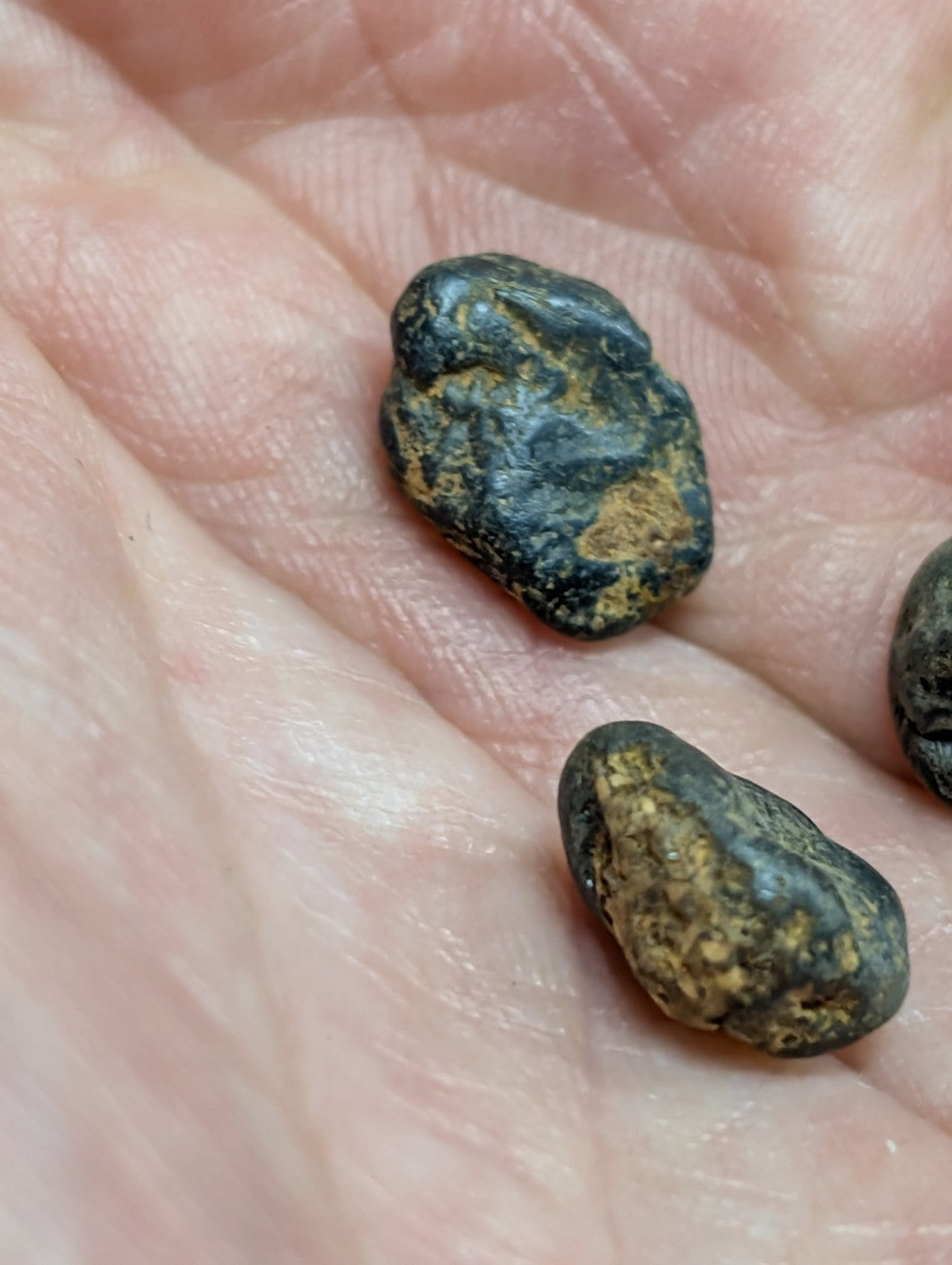 Two dark, irregularly shaped stones with patches of yellowish-brown mineral coating rest in an open palm.