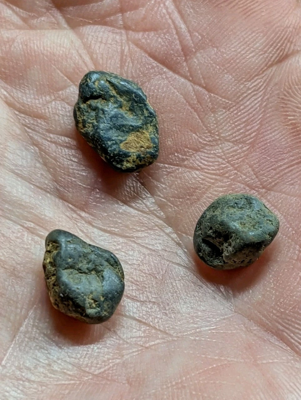 Three irregularly shaped, dark green and black stones with patches of yellowish patina rest in the palm.