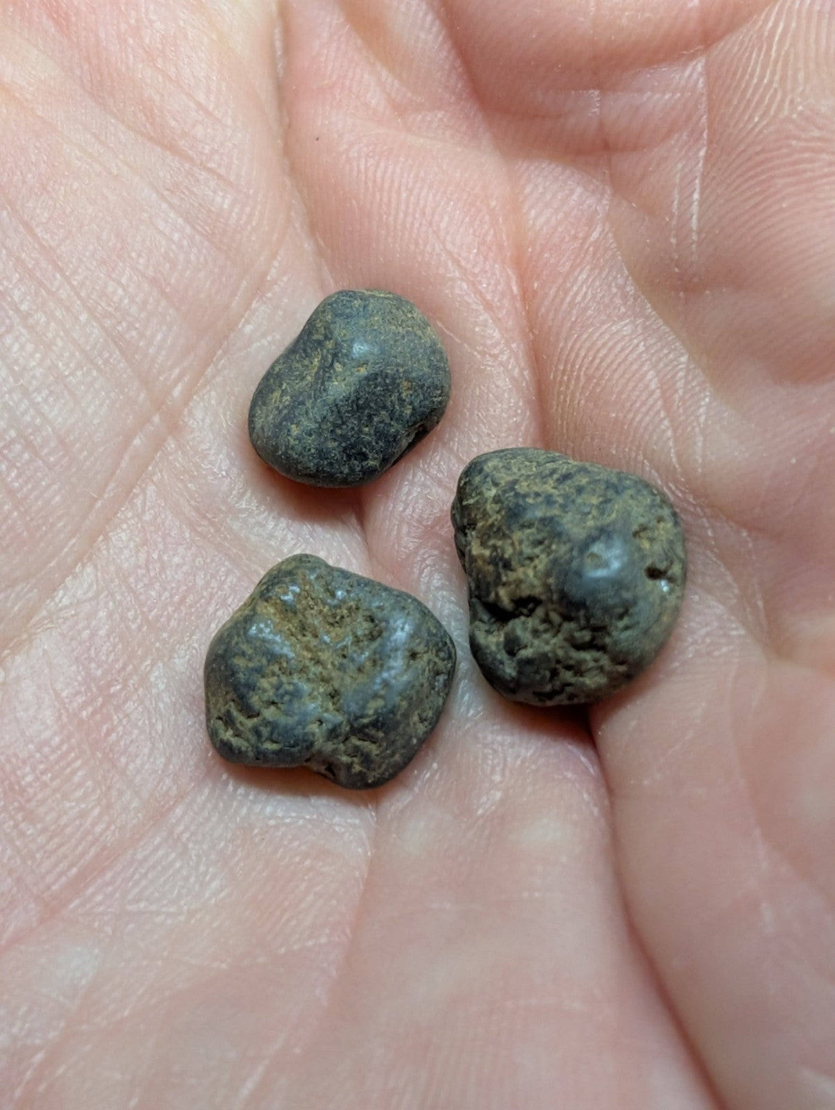 Three dark, rough-textured stones with a mottled greenish-gray surface rest in the palm of a hand.